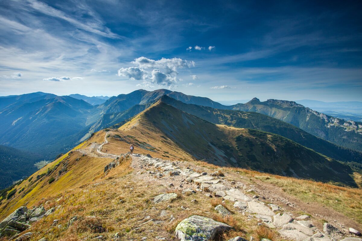 20120910_IMG_2702_profilam_MAZA_Izmera.jpg